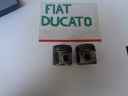  Разборка Fiat Ducato Ducato  Фиат Дукато Ducato - страница 2, Детали двигателя, Блок двигателя - страница 2,   Fiat, Ducato, Ducato, шрот, разборка, б/у, запчасти, купить, цена, бу, в Украине, запчастини, купити, ціна, авторазборка, автошрот, в Україні